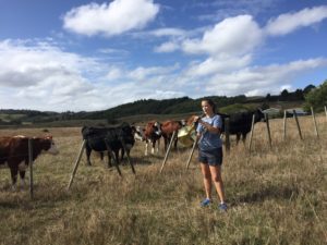 woman standing in cow field