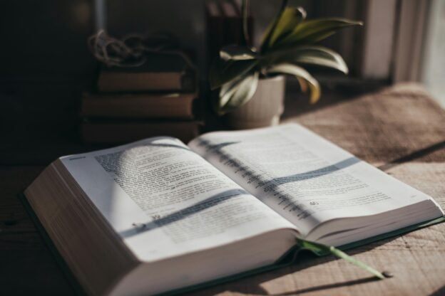 Open Bible on wooden table with plant, sunlight, and shadows, spiritual reading.